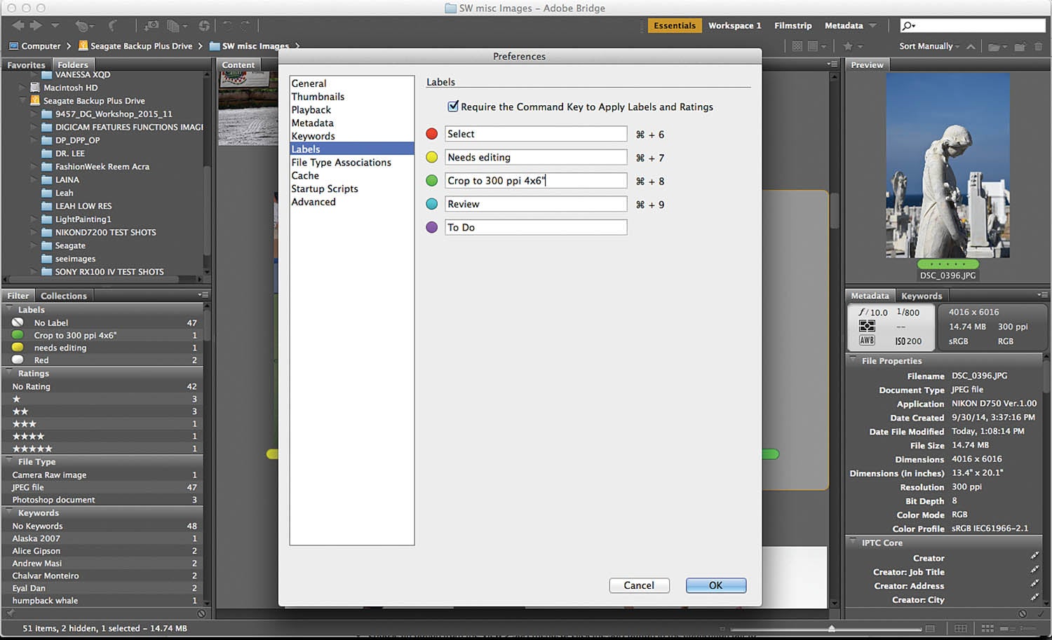 Software Workshop: How to organize your photos with Adobe Bridge