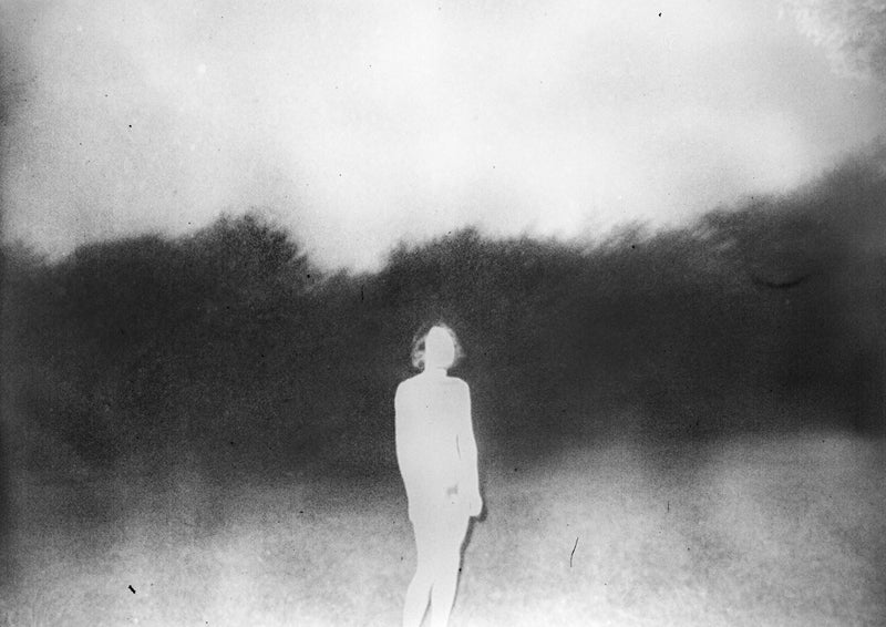 Daisuke Yokota: Back Yard [Signed] - 雑誌