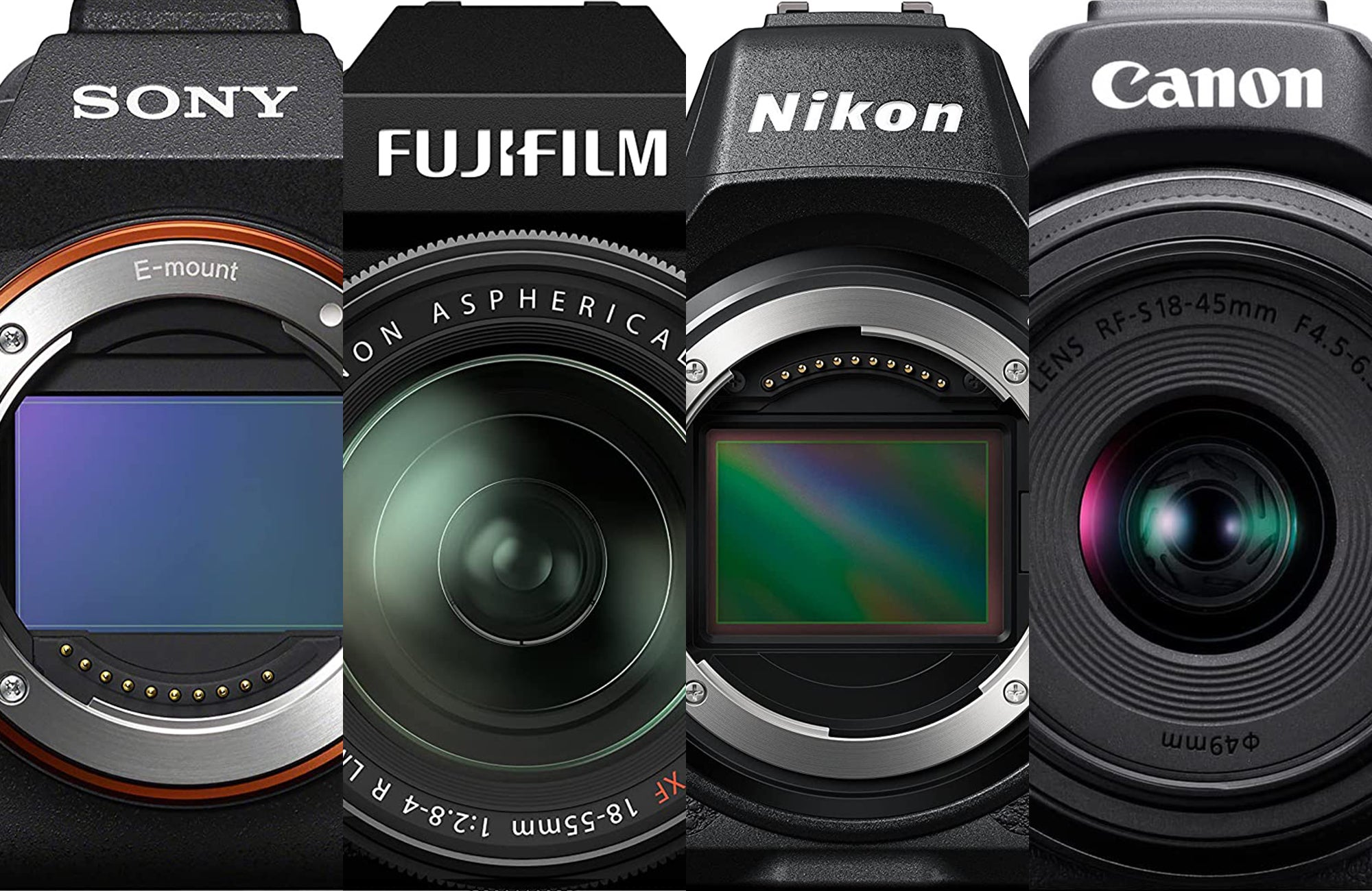 The Best Mirrorless Cameras Of 2023 | Popular Photography