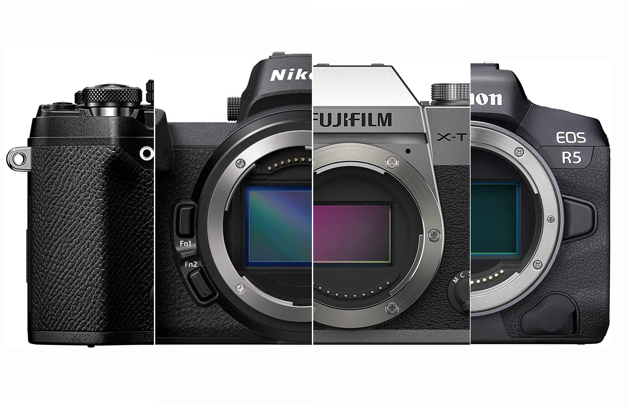 Best mirrorless cameras of 2023 Popular Photography