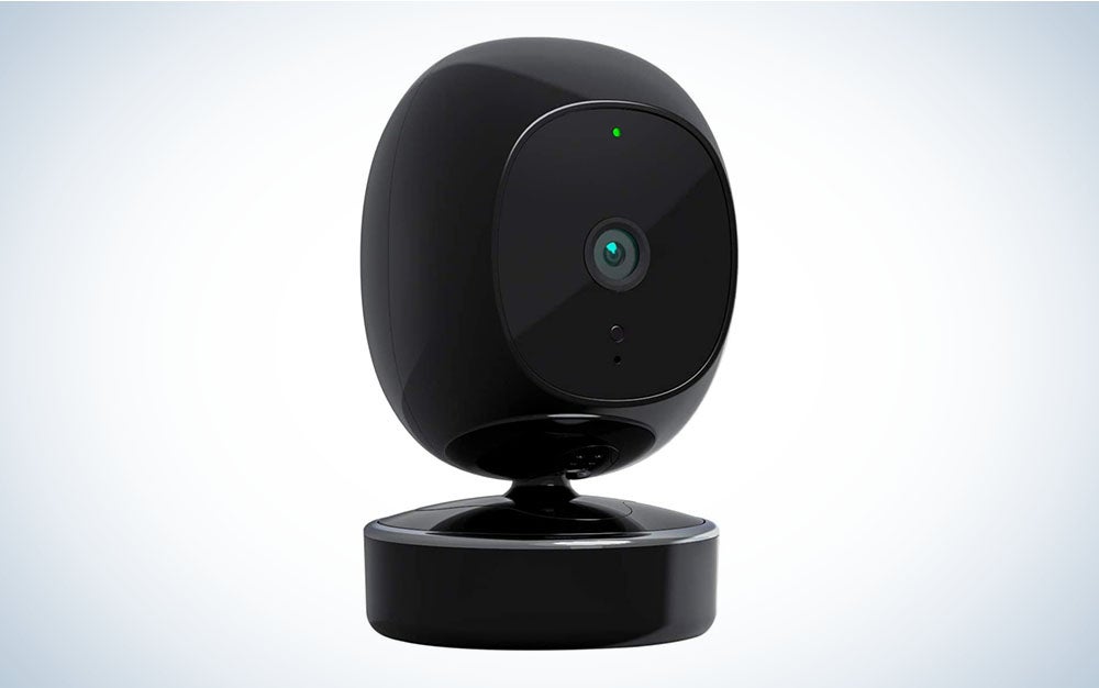 Best best sale pet webcam