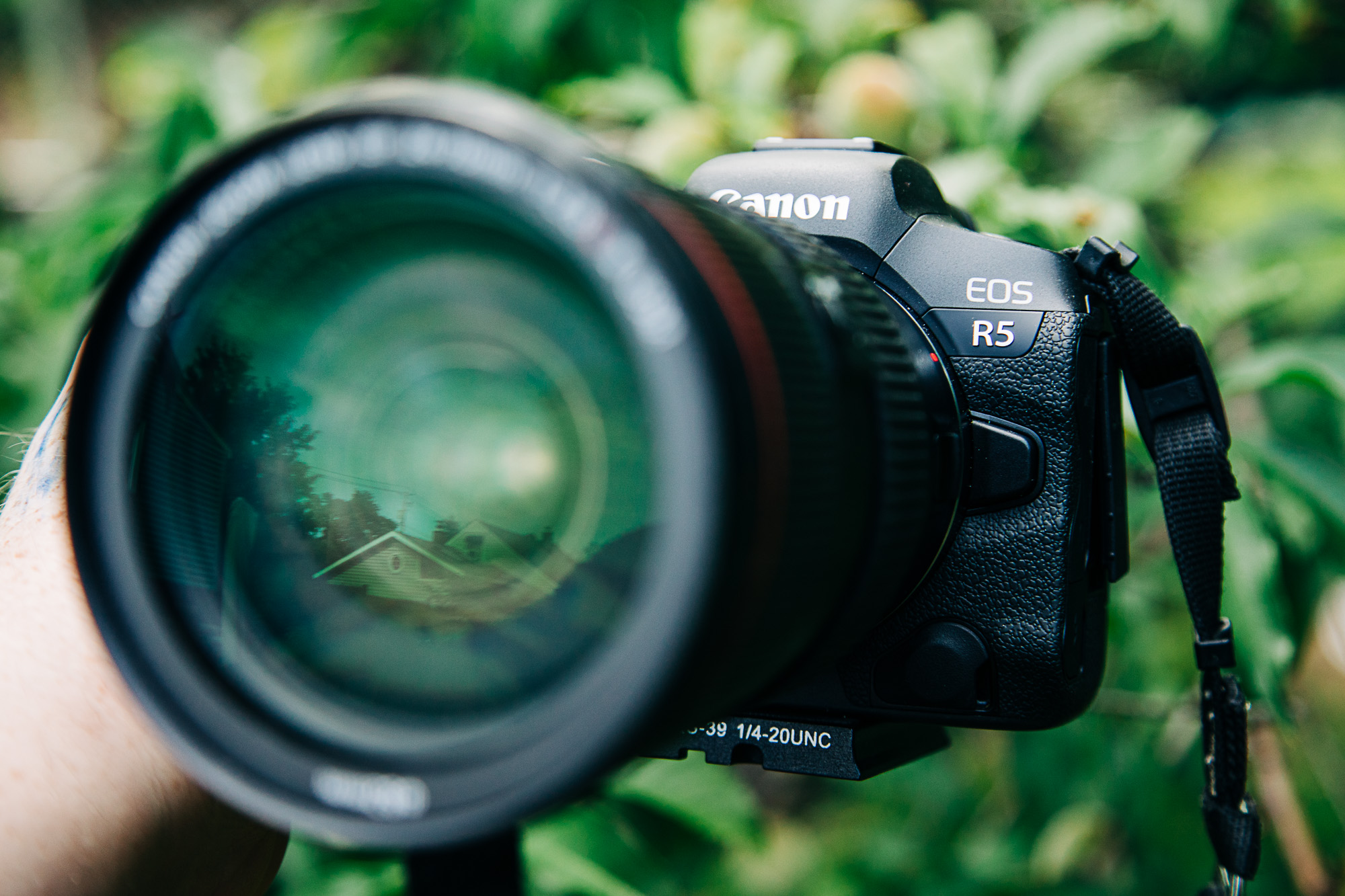 Canon EOS R5 Full-Frame Mirrorless Camera - 8K Video, 45 Megapixel  Full-Frame CMOS Sensor, DIGIC X Image Processor, Up to 12 fps Mechanical  Shutter (Body Only) : Electronics 