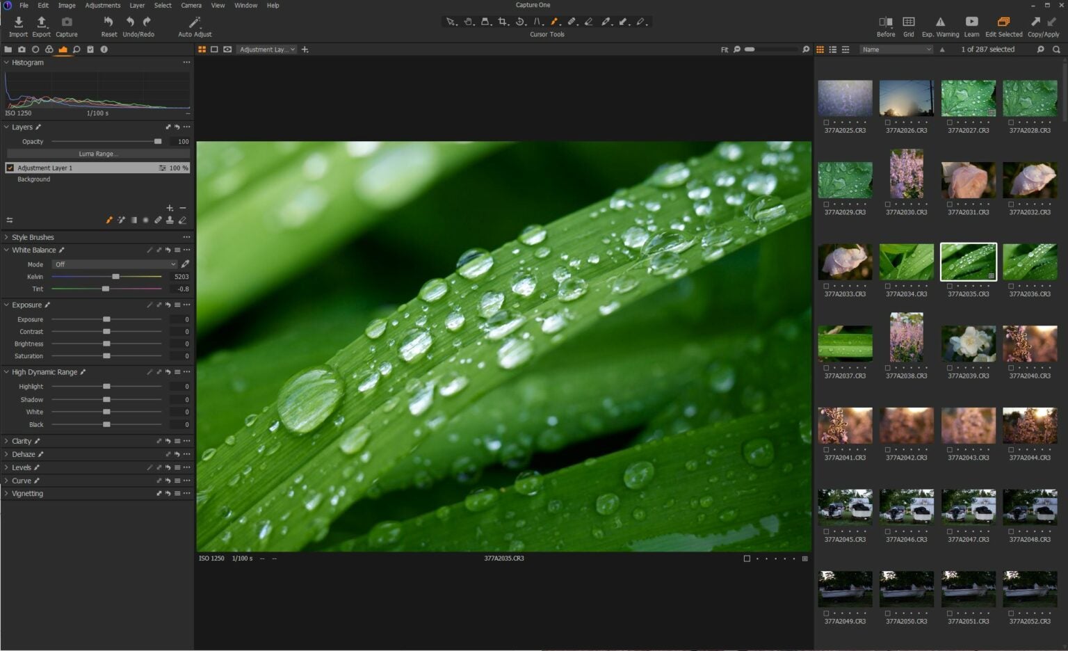 capture one pro software