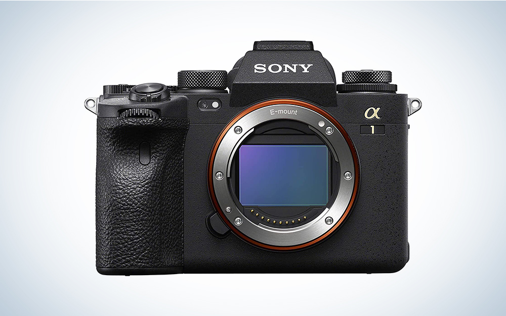 The best Sony cameras in 2023 Popular Photography