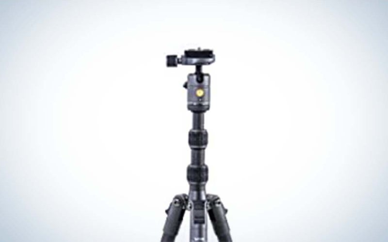 The Vanguard Carbon Fiber Tripod is the best budget pick.