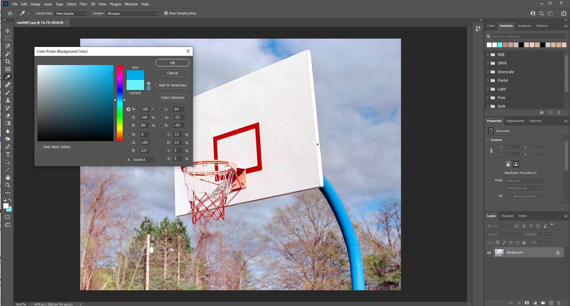 make your photo clearer on photopad image editor