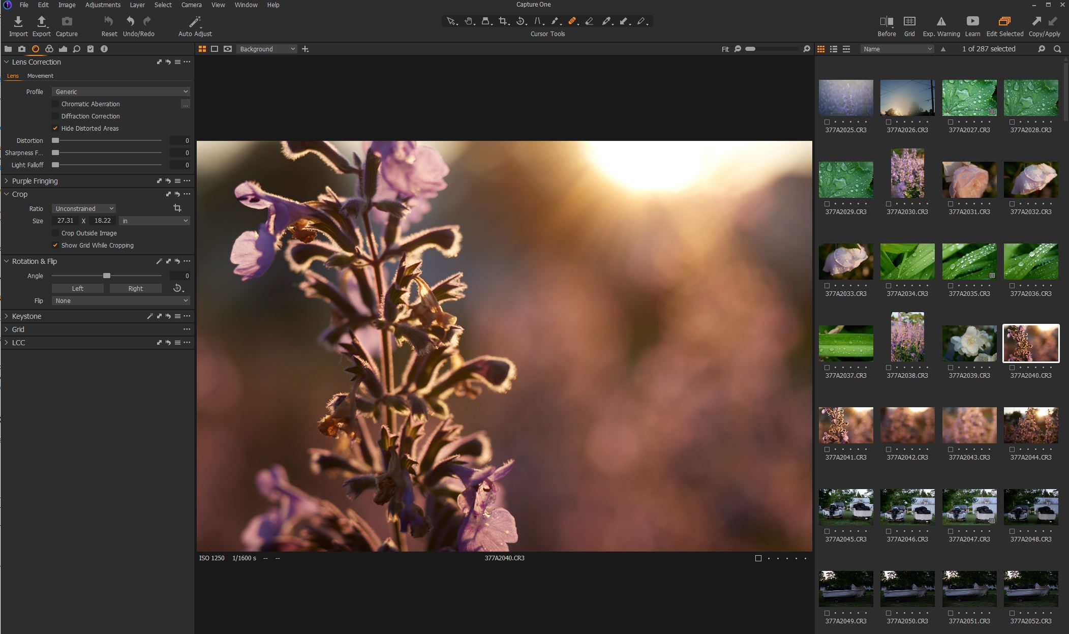 Photo Editors on the Mac: The built-in editor vs five free options -  Improve Photography