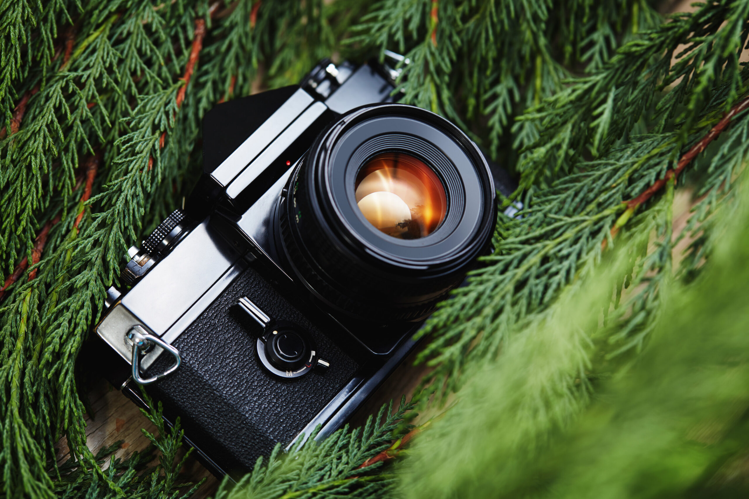 11 Gift Ideas for Travelers Who Love Photography | The Abroad Guide