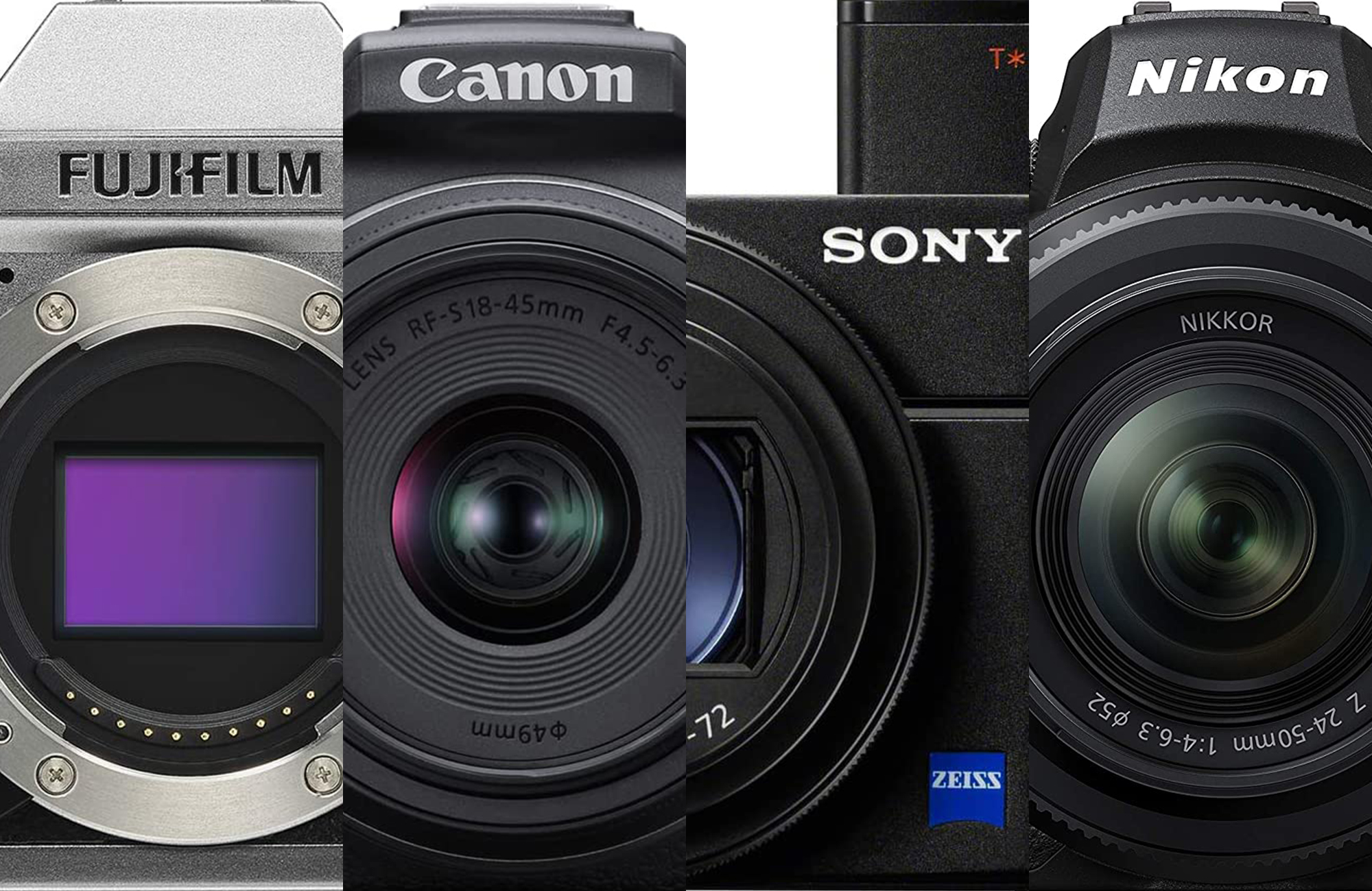 The best cameras for beginners in 2023