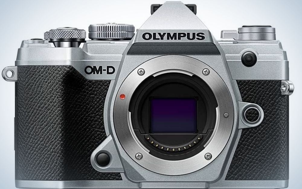 Best Olympus Cameras In 2022 - EditionsPhotoArt