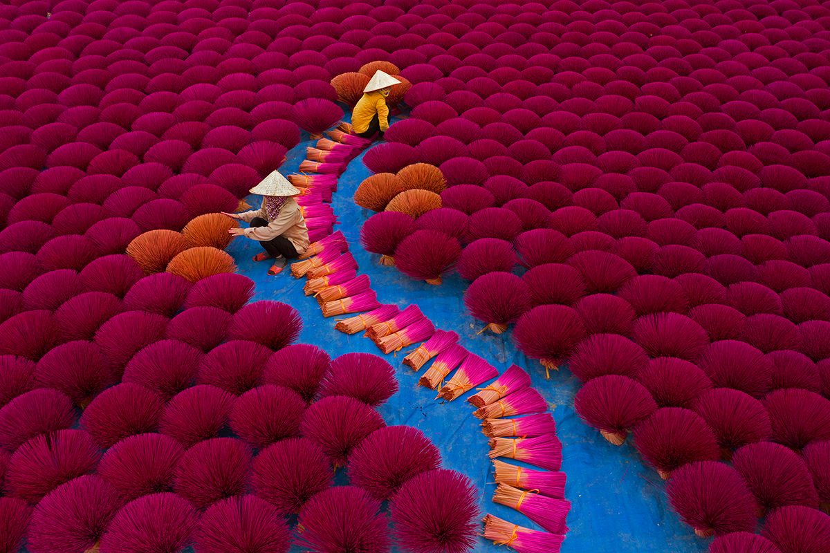 Immerse yourself in some of the most colorful photographs of 2021
