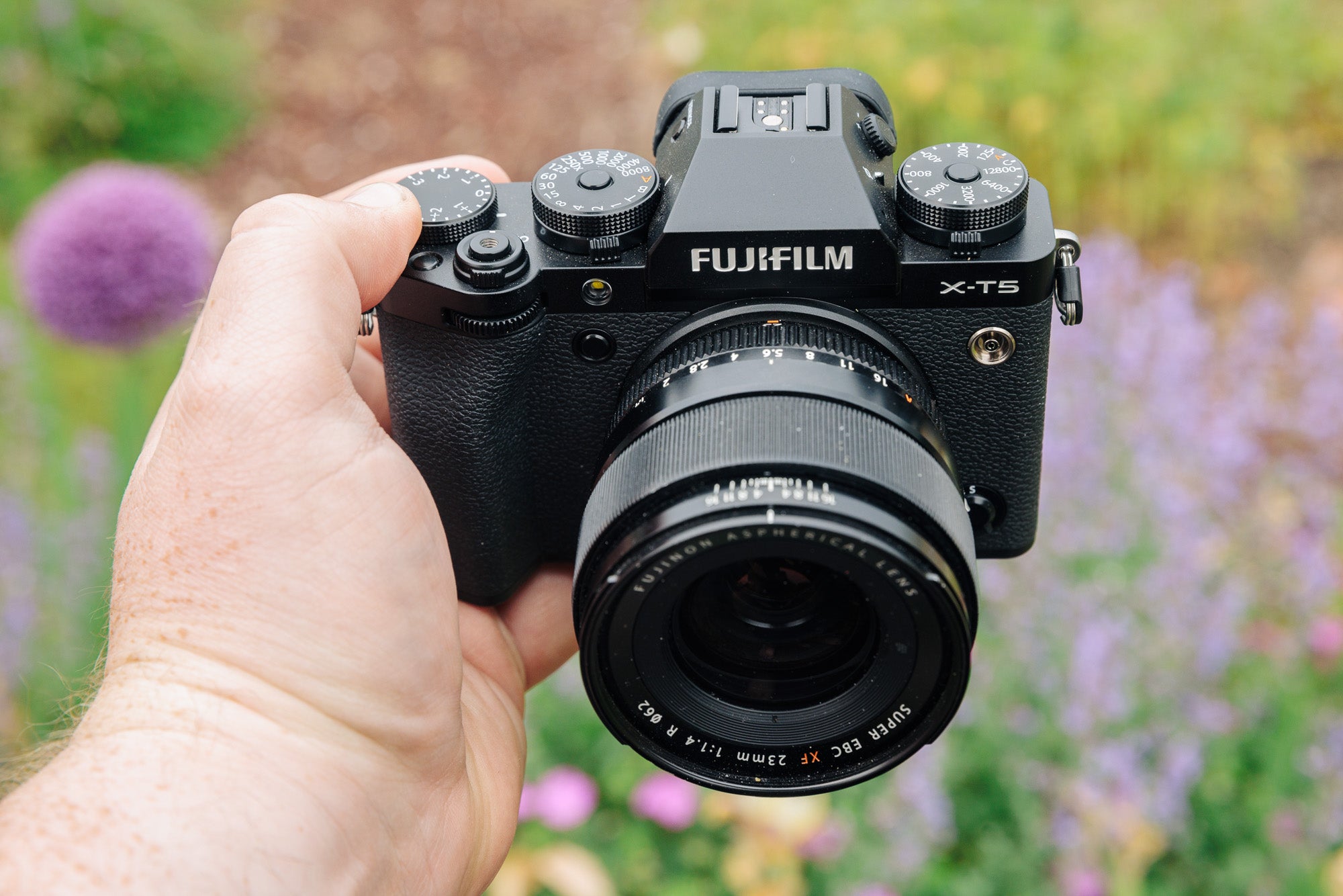 Fujifilm X-T5 review: A mirrorless camera built for photographers | Popular  Photography
