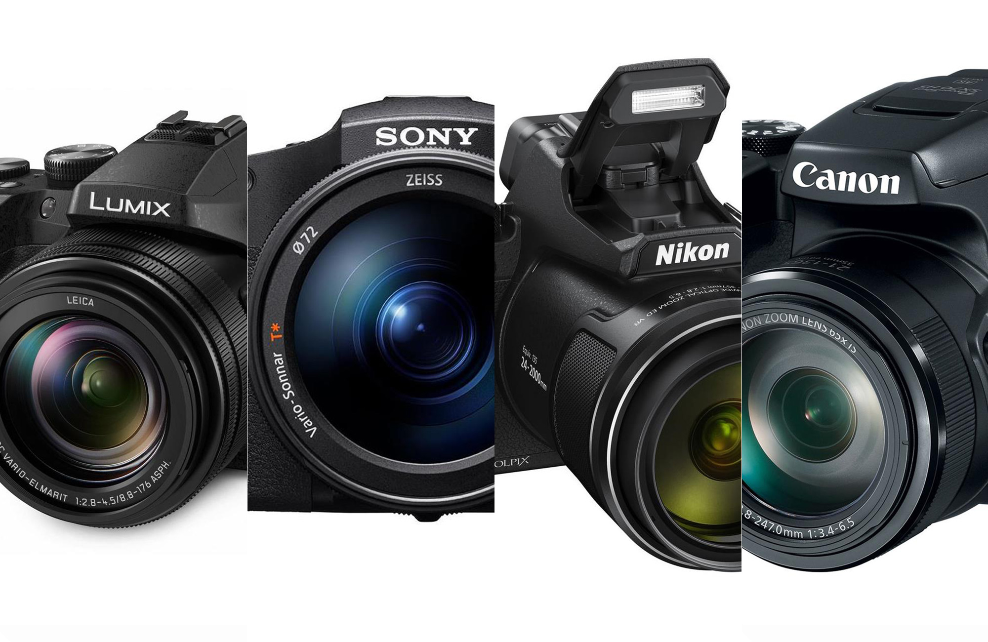 Sony RX10iv: the world's best Point & Shoot bridge camera! – Point & Shoot  Nature Photographer