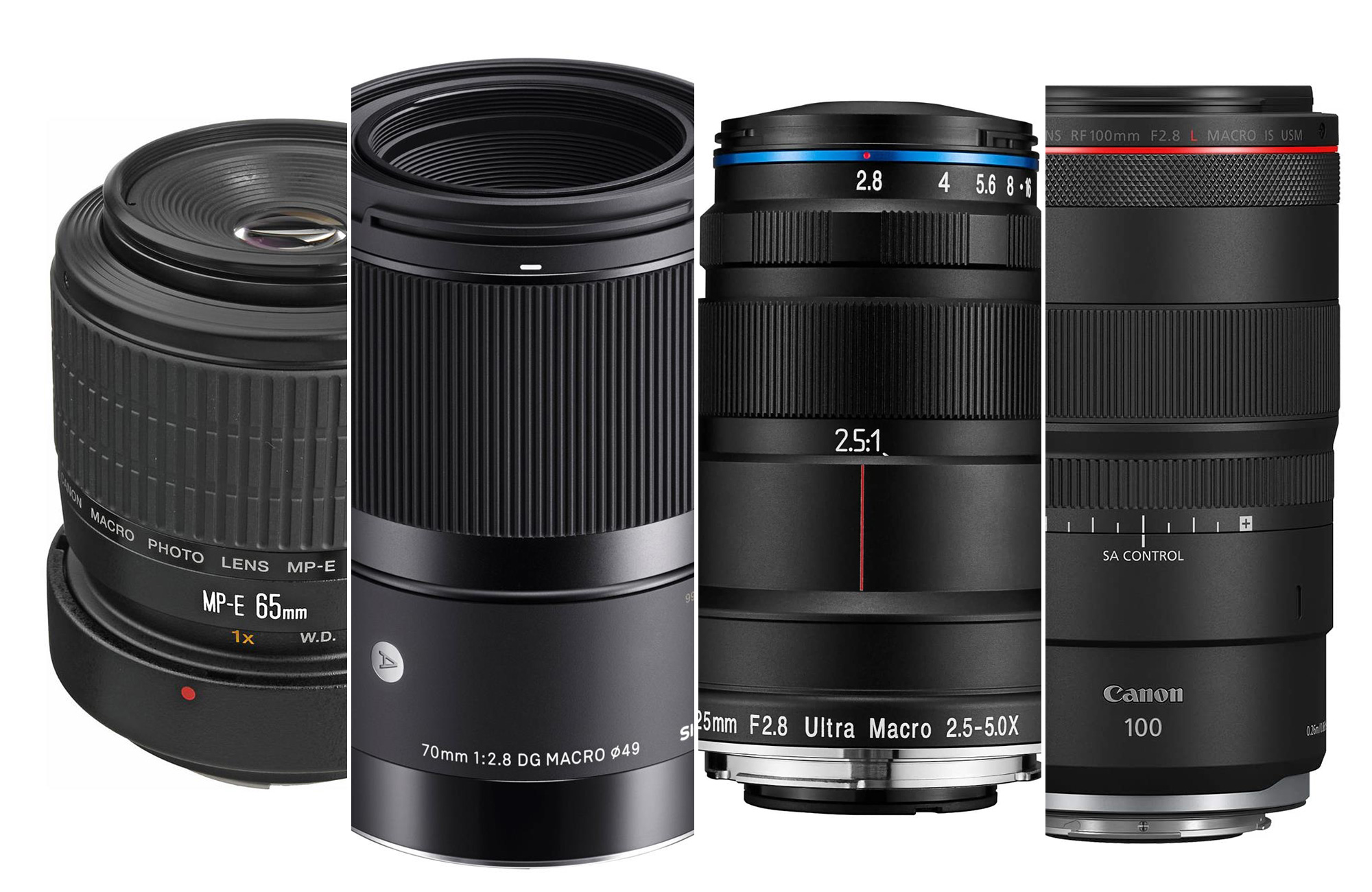 The best macro lenses for Canon in 2023