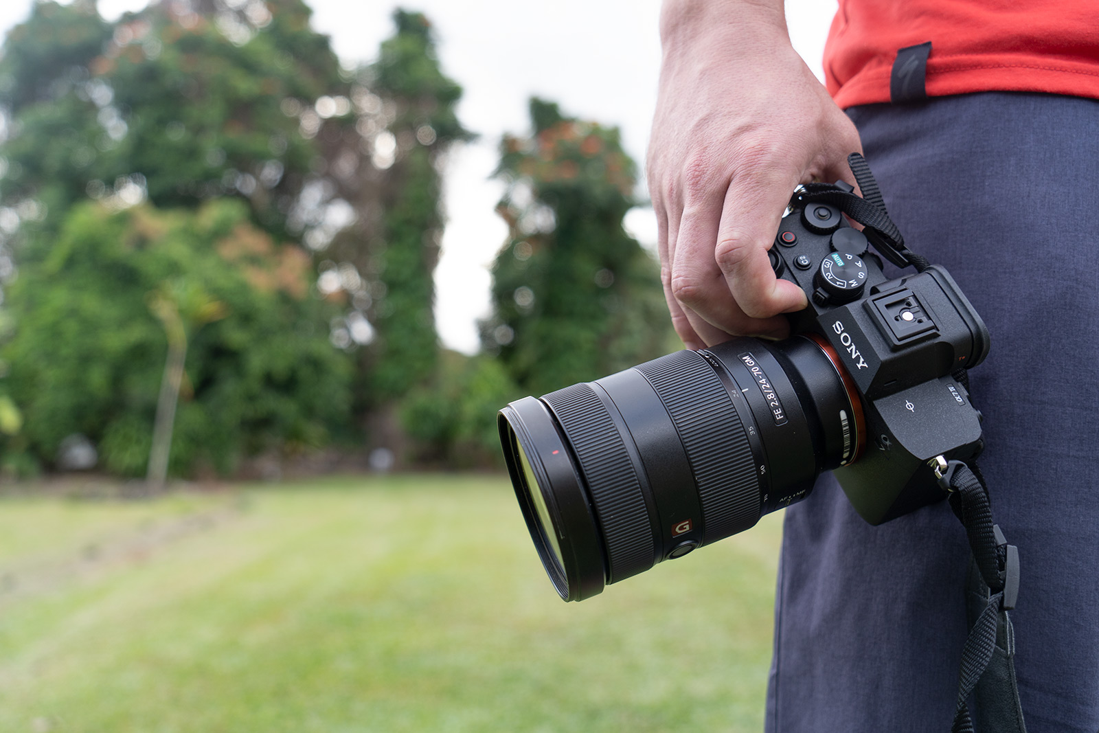 Real world review of the Sony A7iv — Bettman Photography