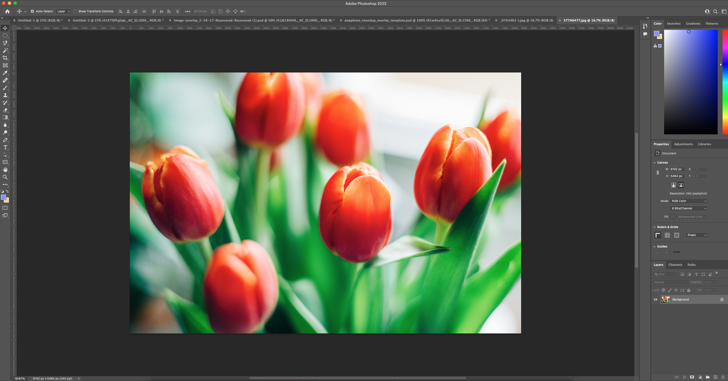 Download Photo Editing Software For Mac With Adobe Photoshop - Apple PNG  Image with No Background 