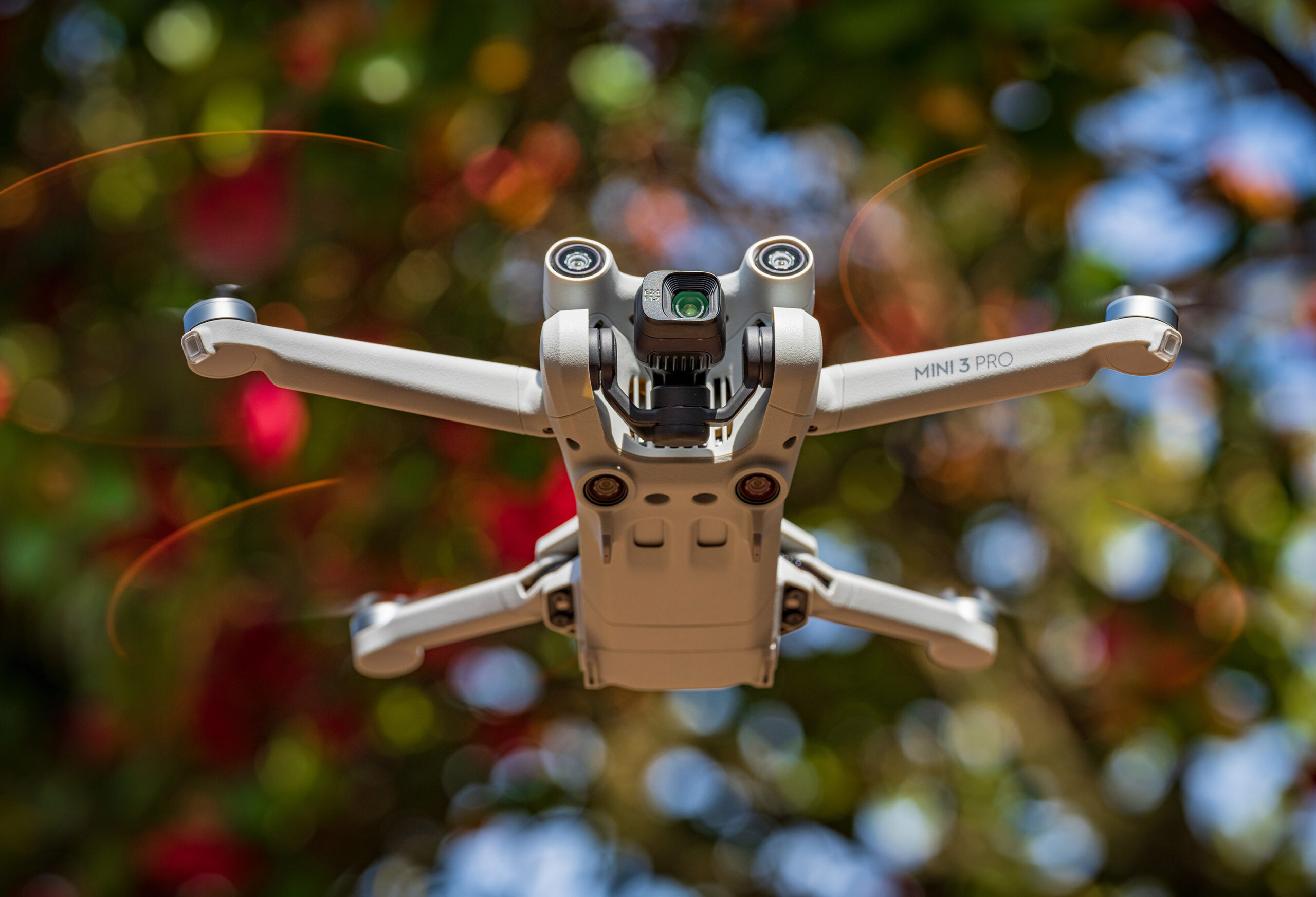 DJI Mini 2 Review: Is it the Best Small Drone to Travel With?