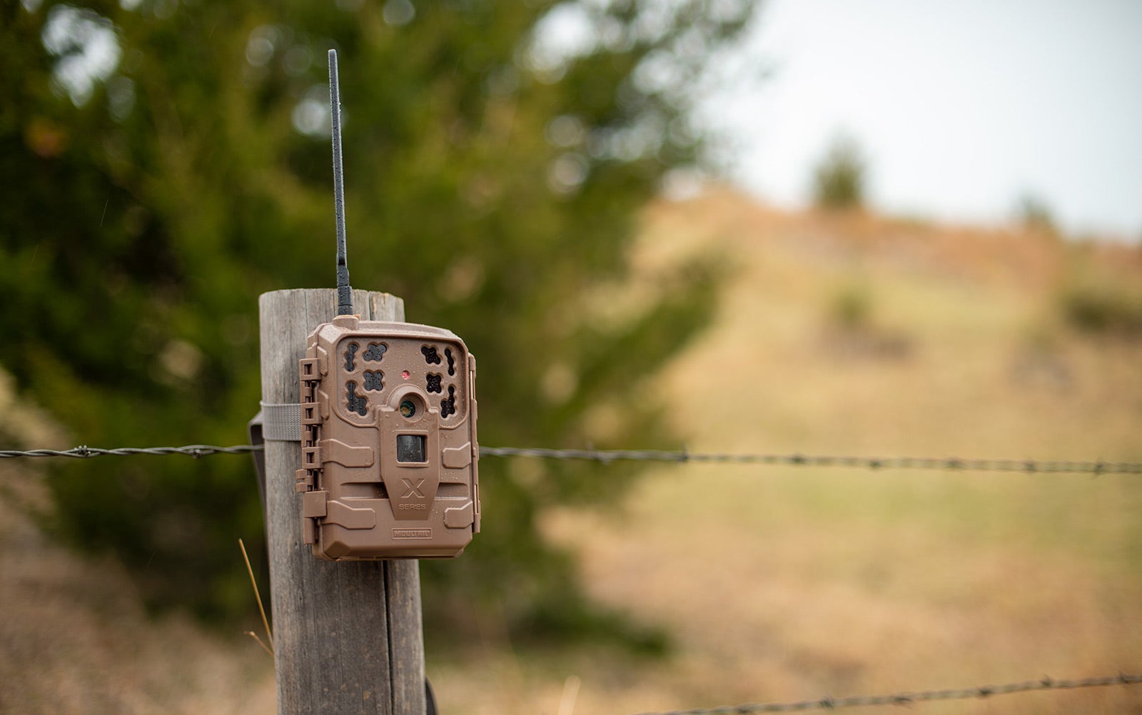 budget trail cameras