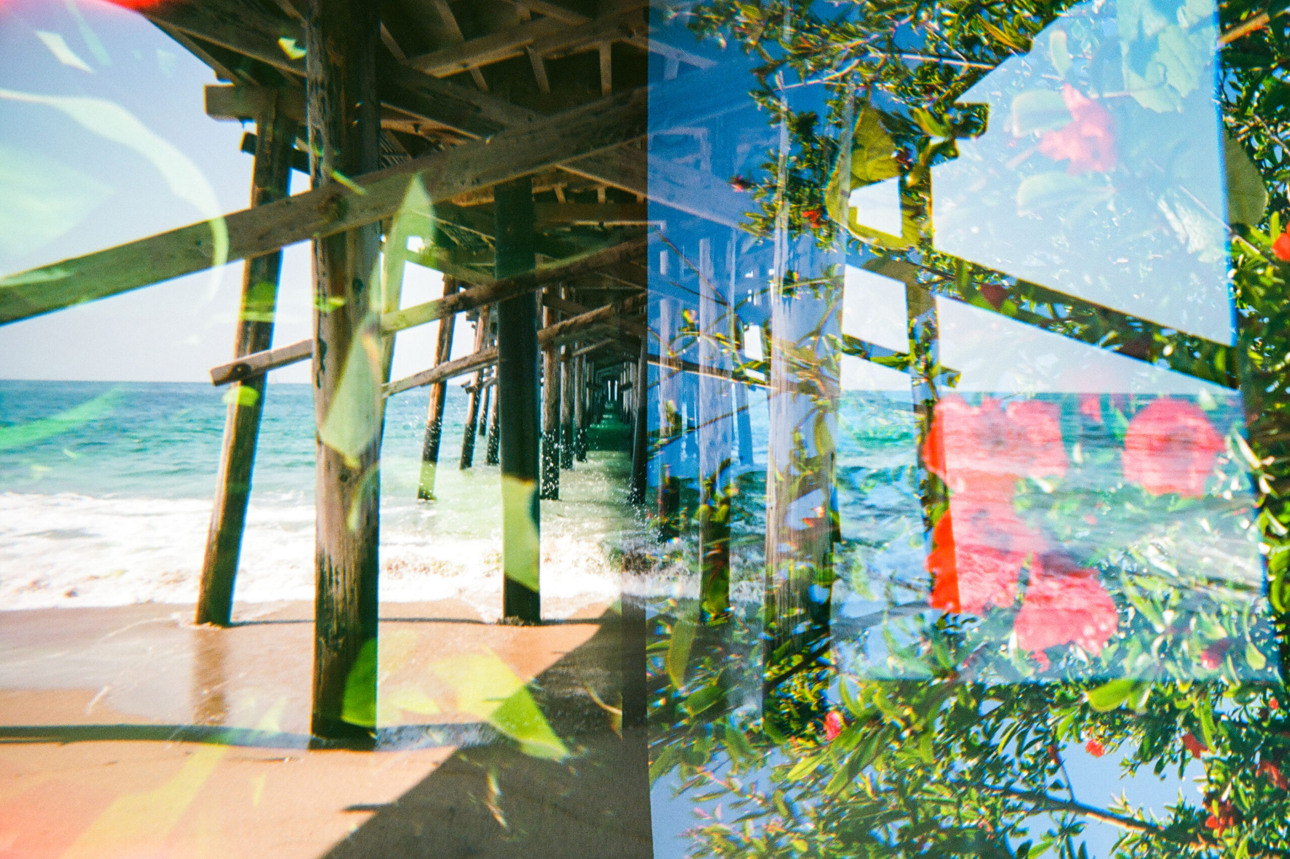 Dive into a world of super-saturated color film photography with Jennifer Lawrence