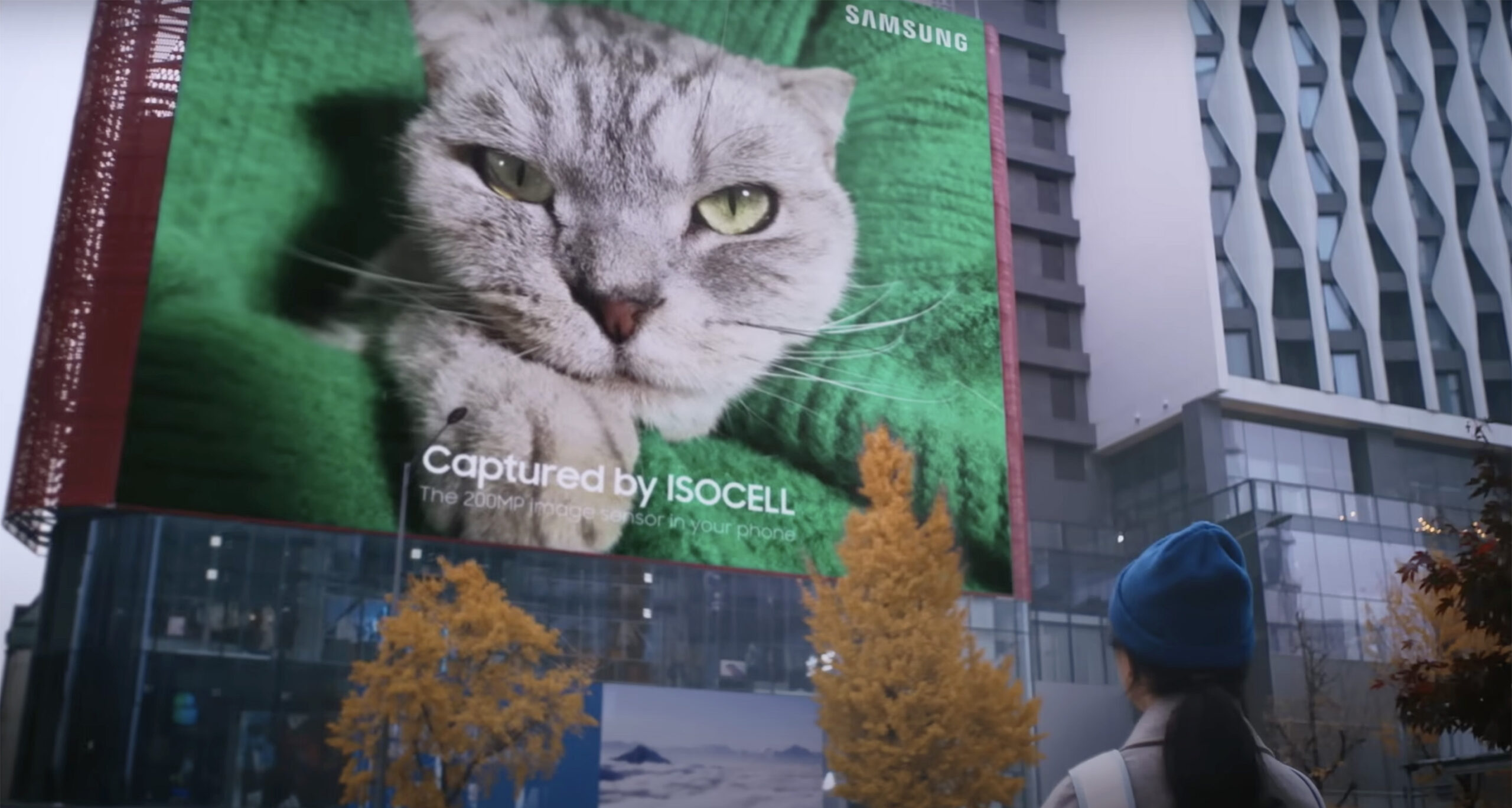 Me(w)ow! Samsung’s new 200-megapixel smartphone sensor shot this larger-than-life-cat print