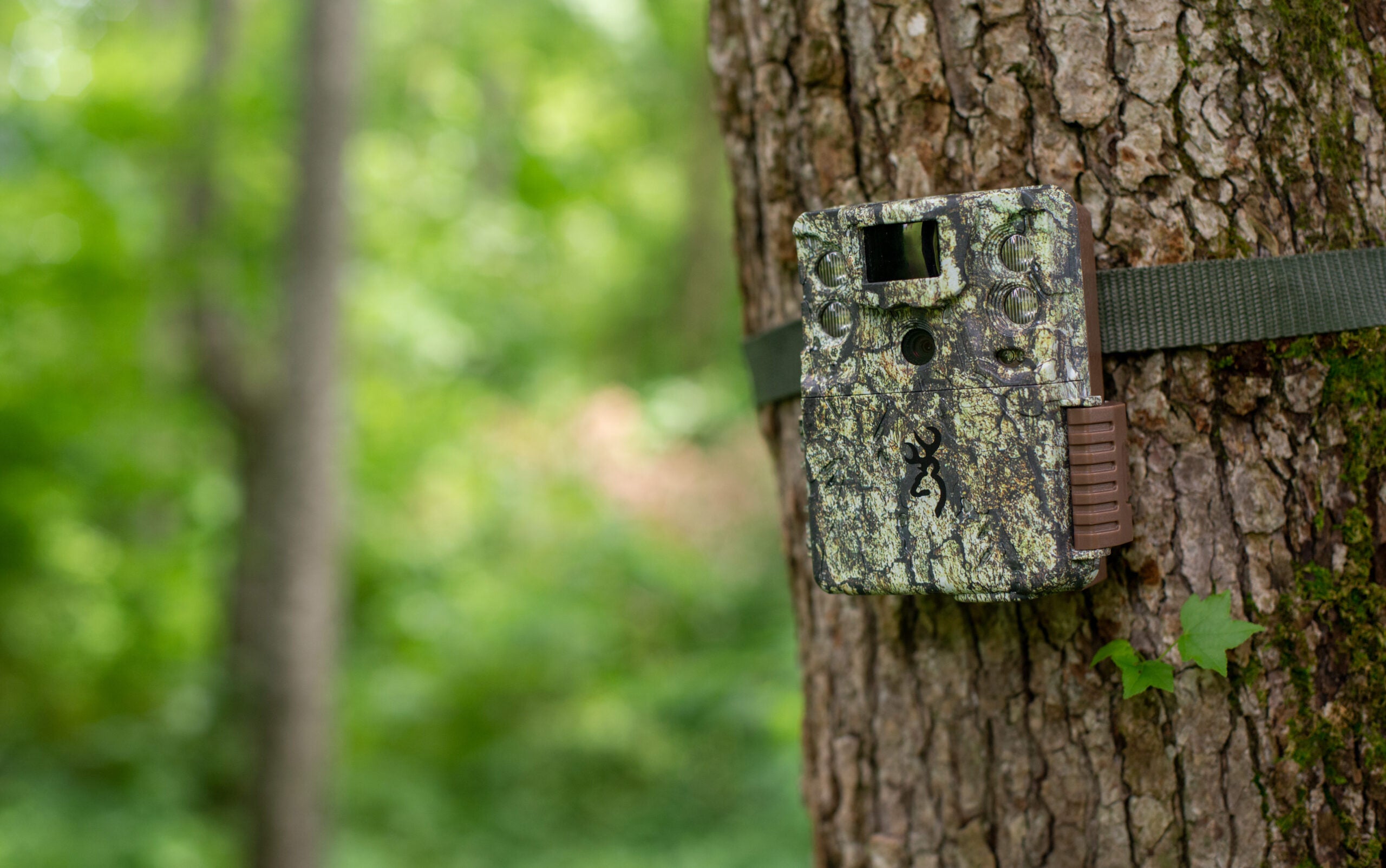 best motion activated trail camera