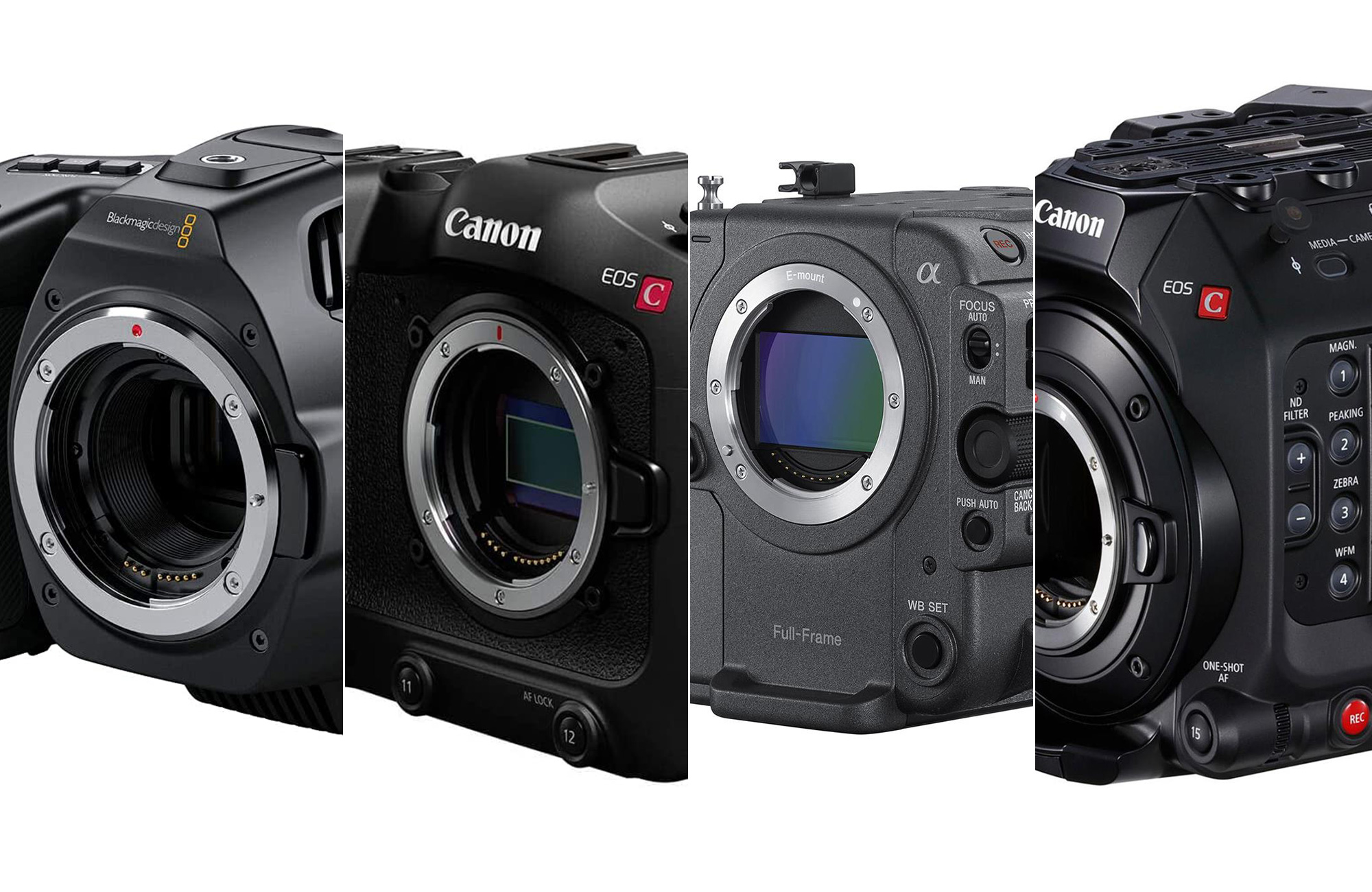 The best cinema cameras for 2023 Popular Photography