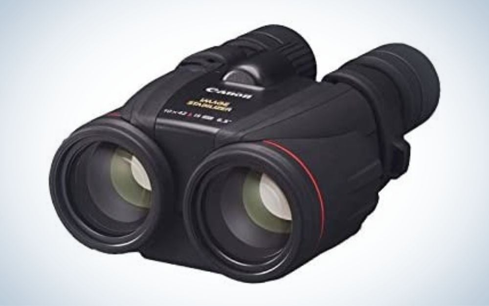 The Best Image Stabilized Binoculars Of 2023 | Popular Photography