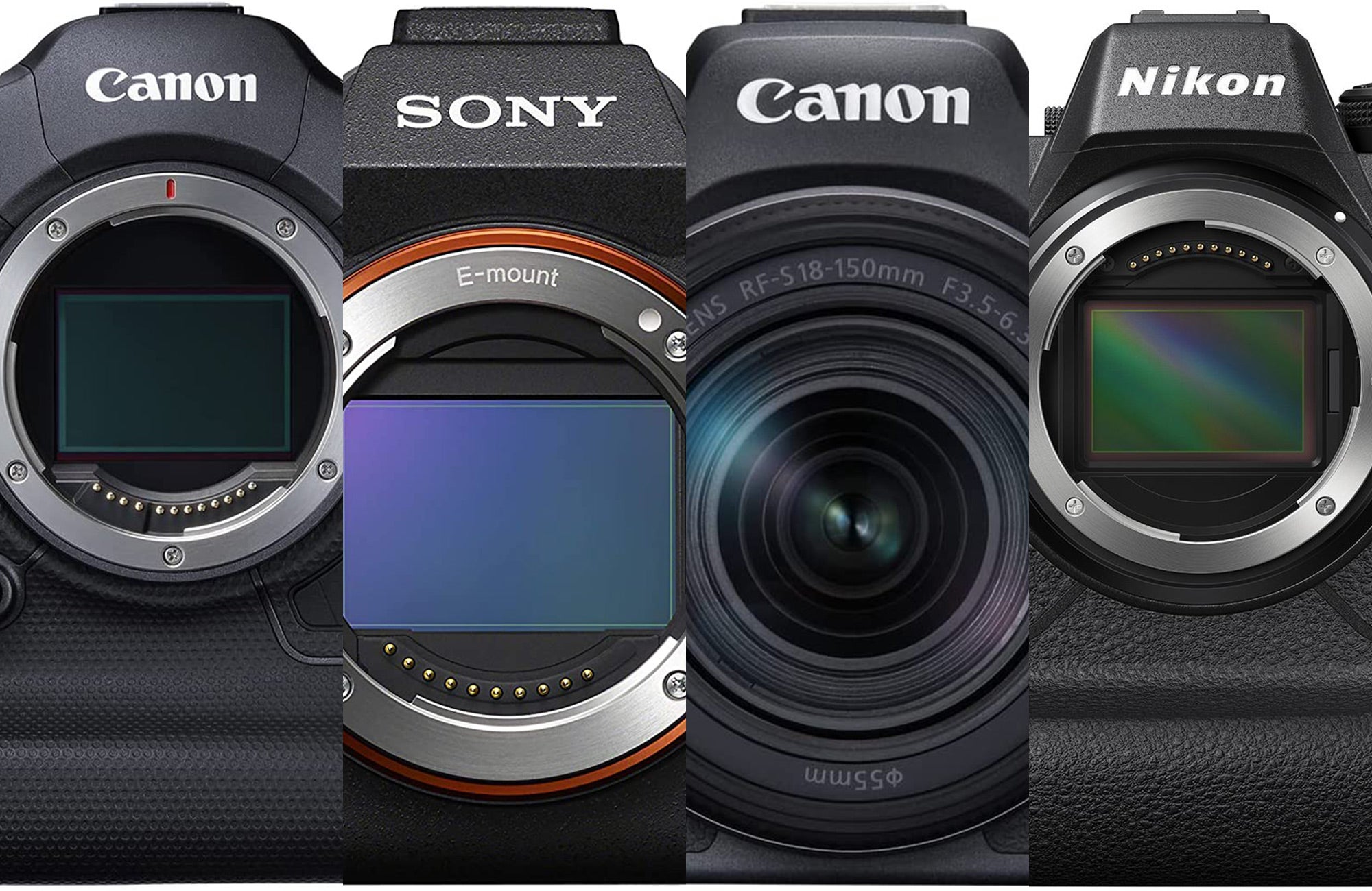 Best camera for sports outlet photography