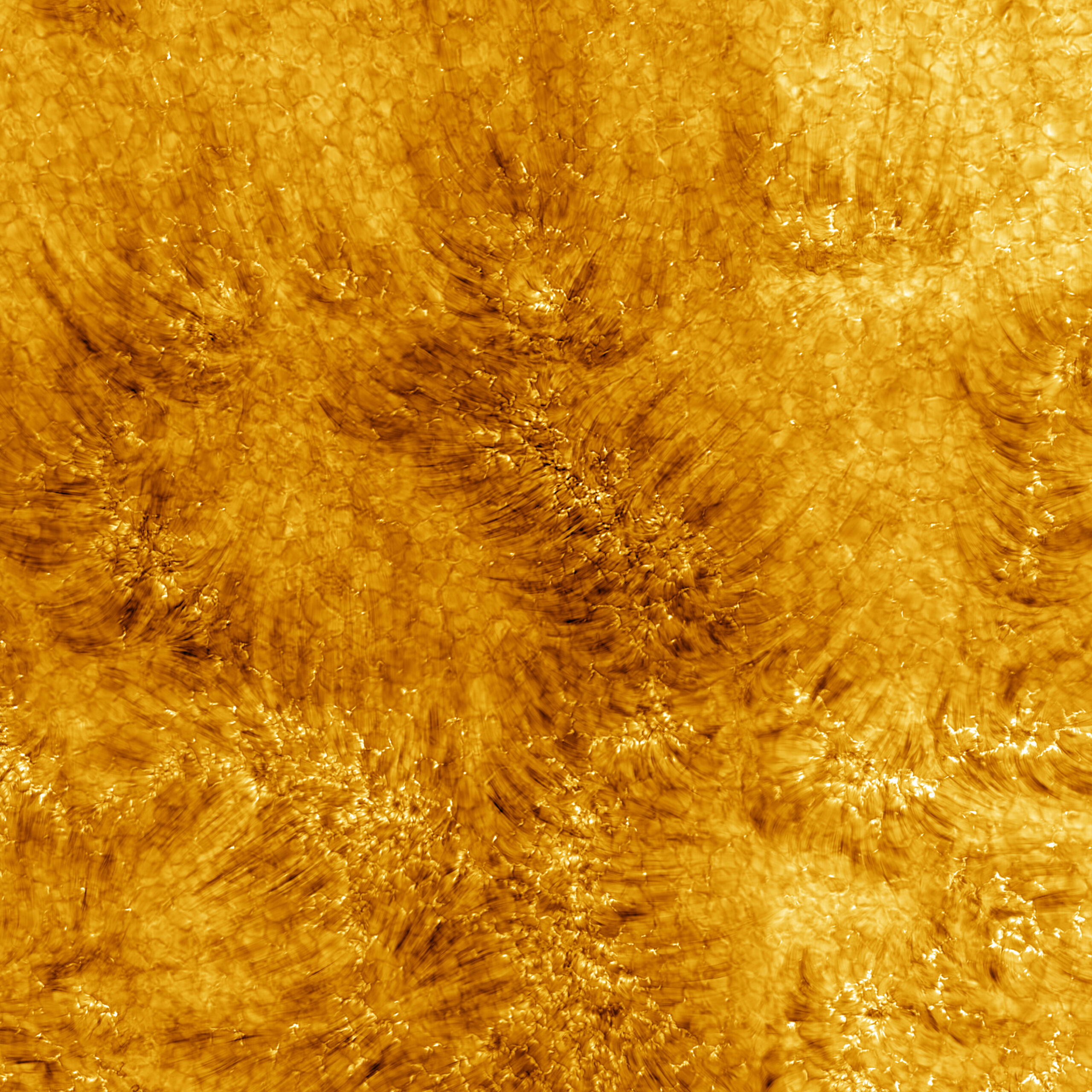 Turn up the heat with these fiery, stunningly-detailed images of our sun