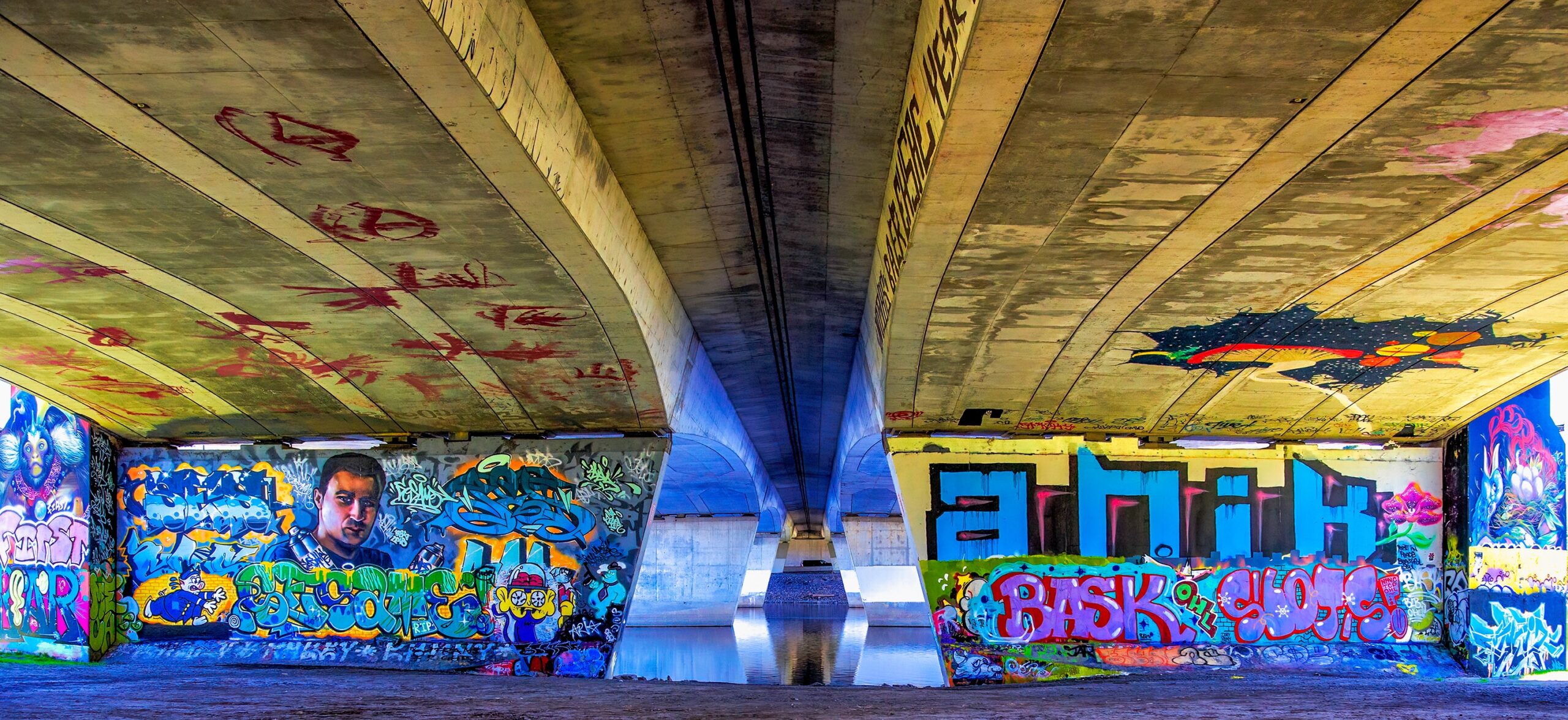 Reader-submitted graffiti & street art photos showcase a cacophony of color