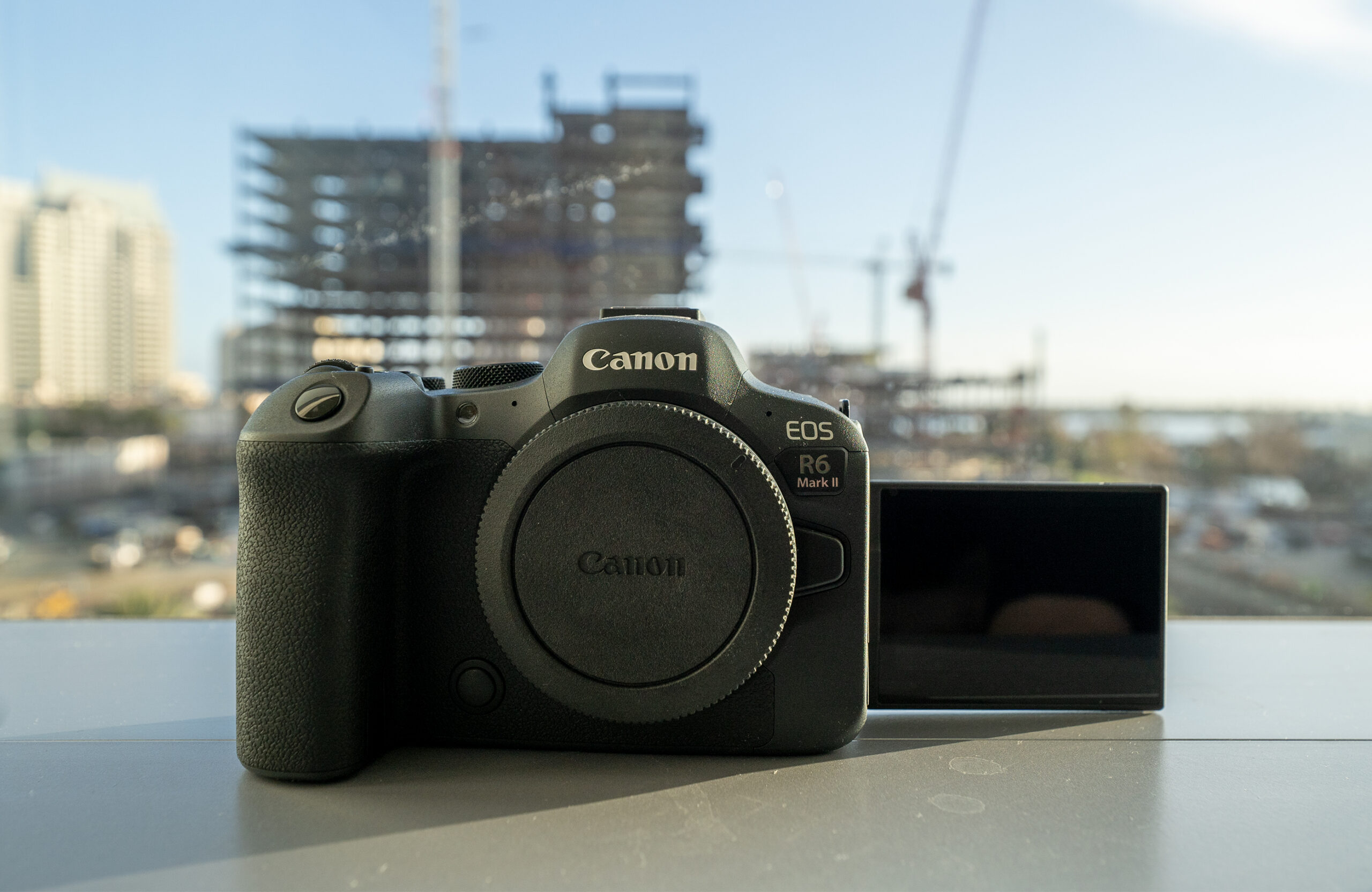 Canon R6 Mark II Review