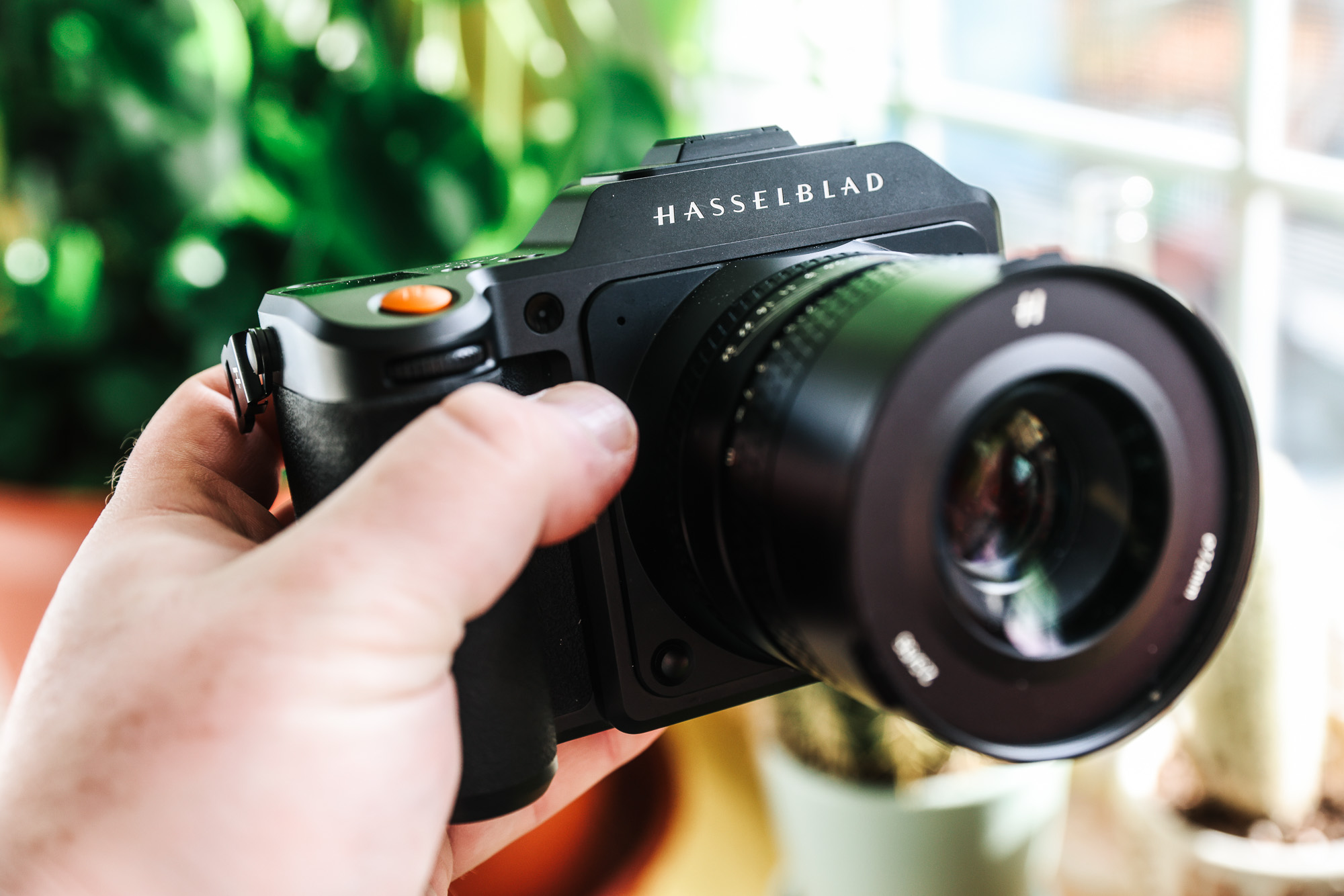 Hasselblad X2D 100C review: Simply wonderful | Popular Photography