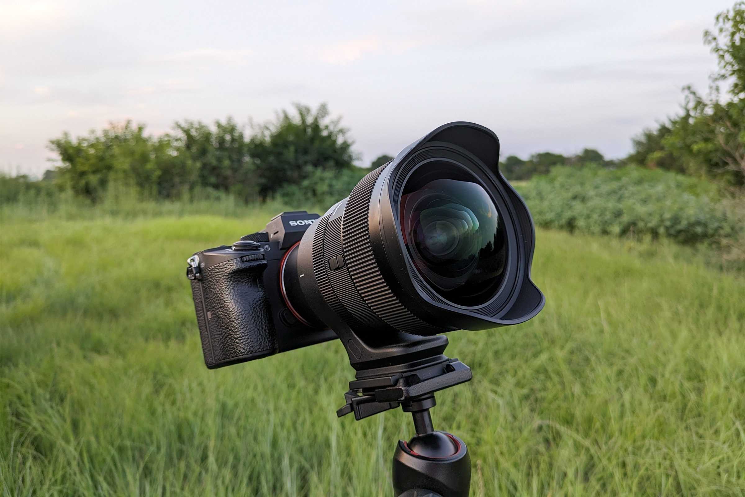 Sigma 14mm f/1.4 DG DN Art review: A powerful astrophotography tool